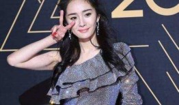陈楚哥爆料吴佩慈视频,真相背后引人深思