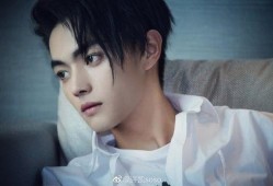 录音爆料许凯视频下载软件,揭秘热门明星幕后操作